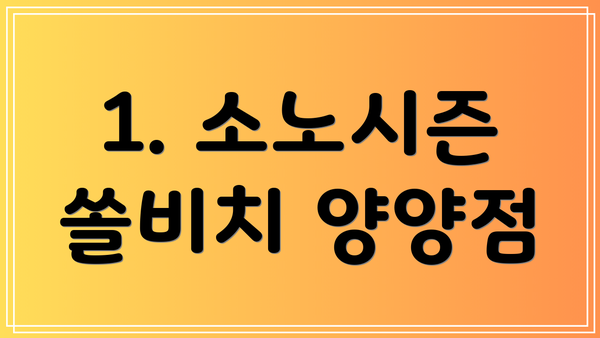 1. 소노시즌 쏠비치 양양점