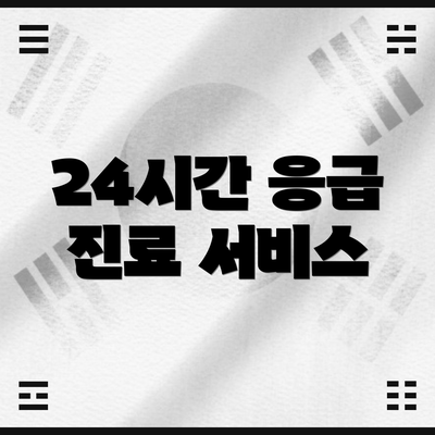 24시간 응급 진료 서비스