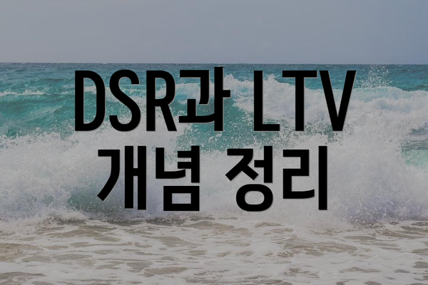 DSR과 LTV 개념 정리