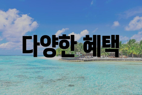 다양한 혜택
