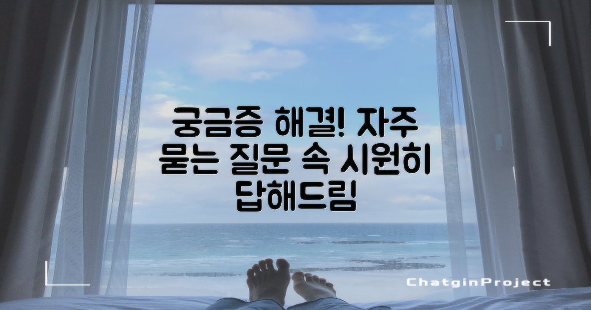 자주 묻는 질문