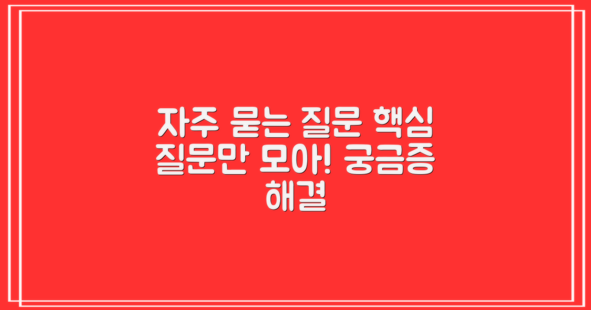 자주 묻는 질문